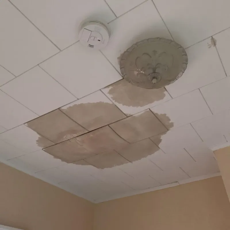 Ceiling Water Damage Repair in Lansing, KS