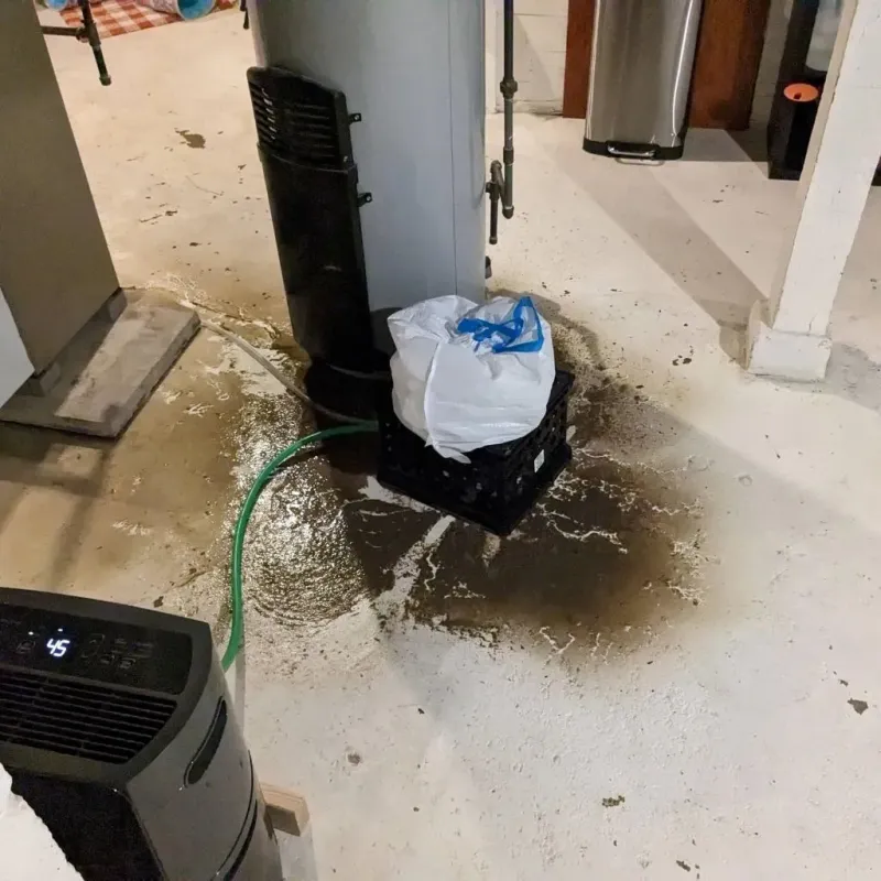 Sewage Backup Cleanup Service in Lansing, KS